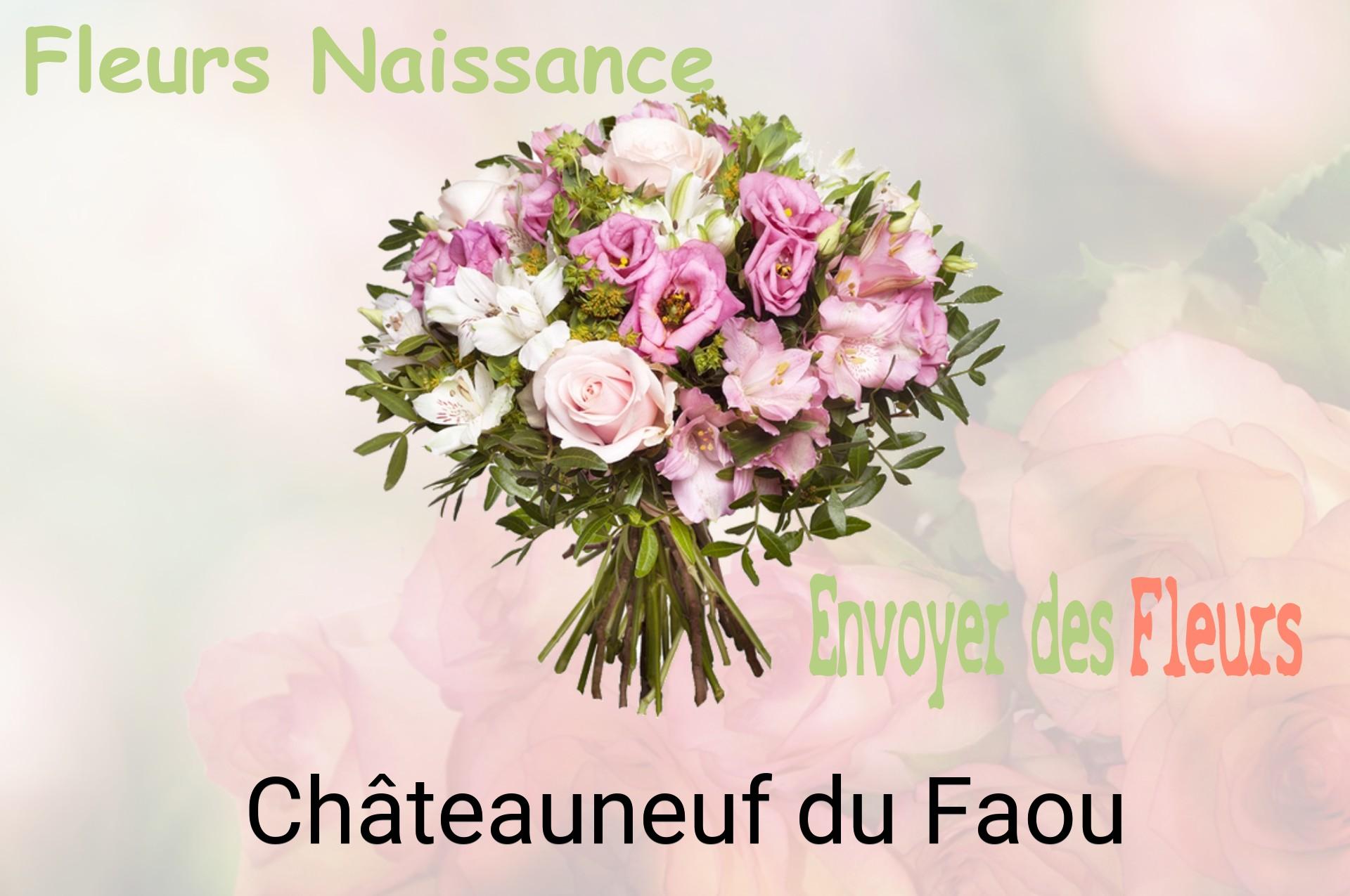 Bouquet de fleurs de naissance livré à Châteauneuf-du-Faou